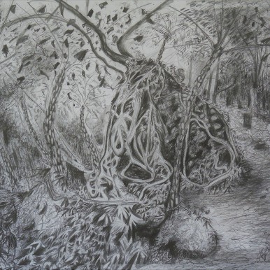 Wodi Wodi Plumtree Rock, pencil drawing, 66x92, $500